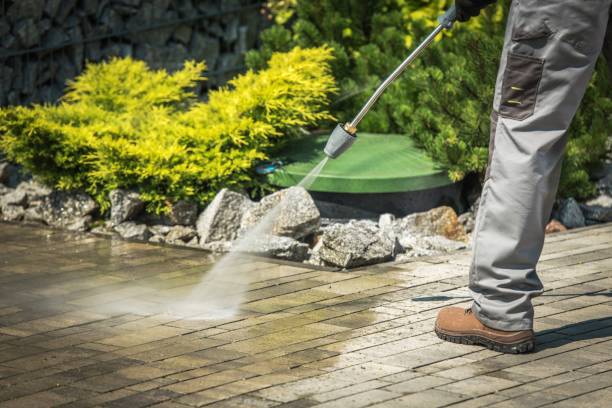 Best Driveway Pressure Washing  in Marysville, MI