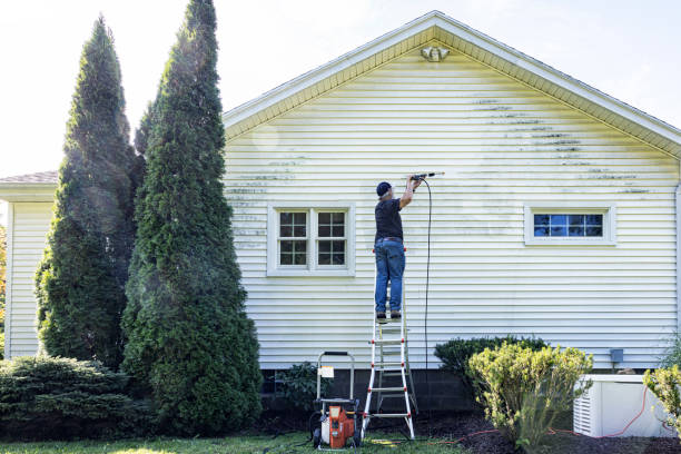 Best Dumpster Area Cleaning  in Marysville, MI