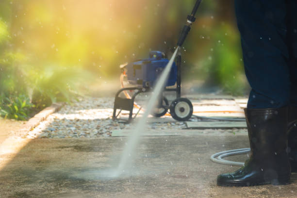 Best Roof Washing  in Marysville, MI